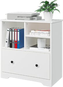 Best file cabinet for home office