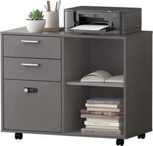 Best file cabinet for home office